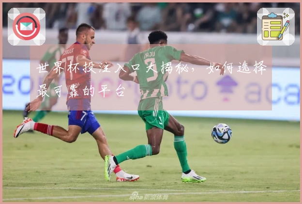 世界杯投注入口大揭秘，如何选择最可靠的平台