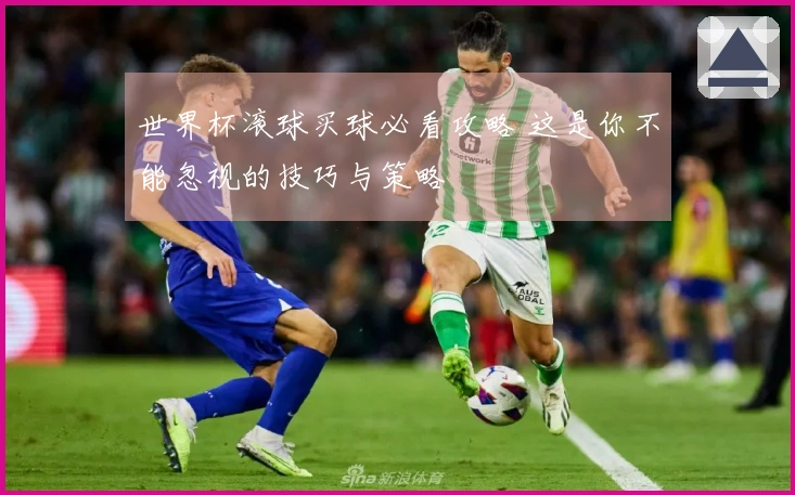 世界杯滚球买球必看攻略 这是你不能忽视的技巧与策略