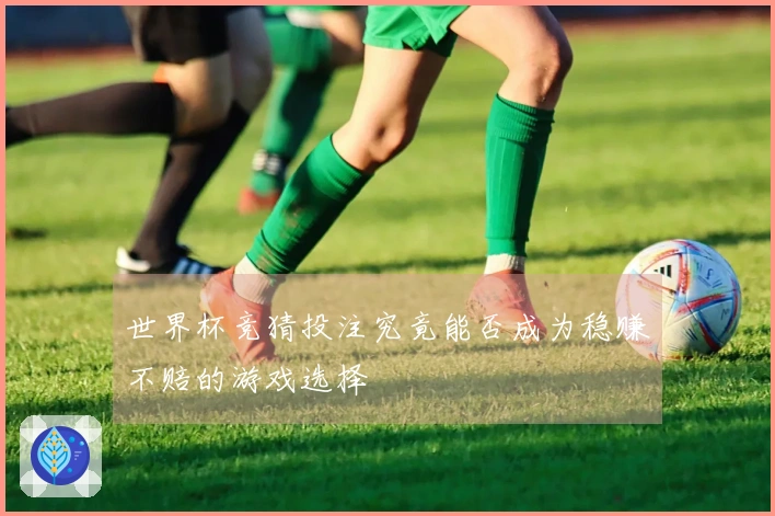 世界杯竞猜投注究竟能否成为稳赚不赔的游戏选择