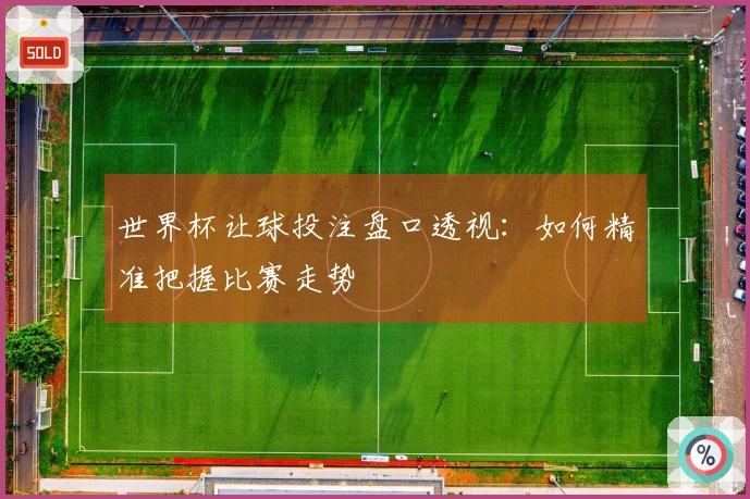 世界杯让球投注盘口透视：如何精准把握比赛走势