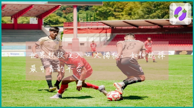 世界杯投注入口大揭秘，如何选择最可靠的平台