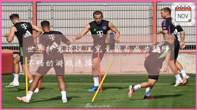 世界杯竞猜投注究竟能否成为稳赚不赔的游戏选择